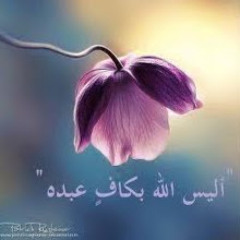 Rehab Ahmad