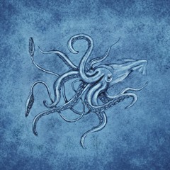 Sinking Squid