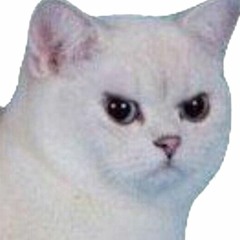 Oleksandr Skakovskiy