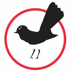 8CCC Community Radio