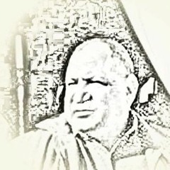 ESMAT ALNEMR