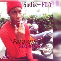 SODIX-FLY