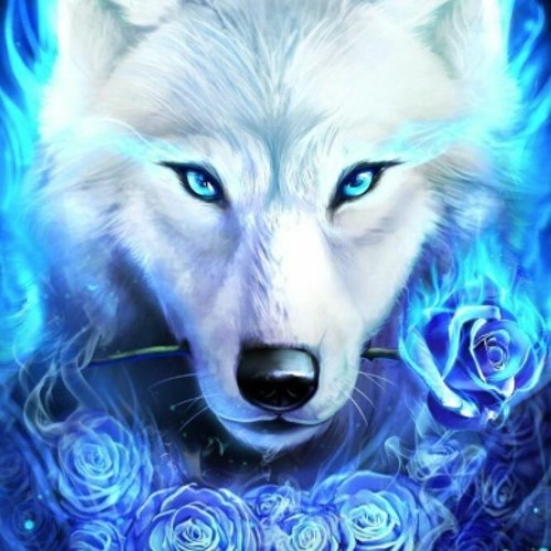 The Arctic Wolf’s avatar