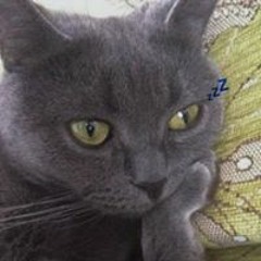 Nguyễn Minh Phượng