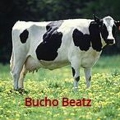 Bucho Beatz