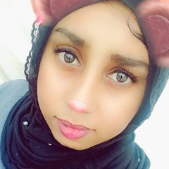 noor Mohssin