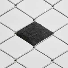 Jimena Chávez Delion