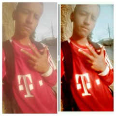 DJ PATRIICK FD II /E O BICHO MANÉ🎵