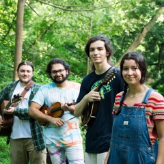 The Minor Adjustments