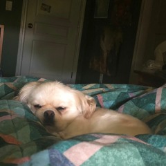 blue ridge mountains (cover)