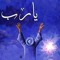 Alaa Bekhet