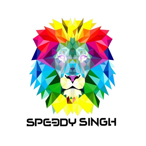 Speedy singh™ — artist photo