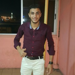 m.hegazy