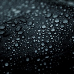 Maximilian Güdelhöfer