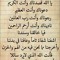 مرفت ابوشامه