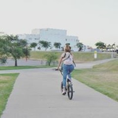 Nazara Jefe