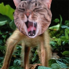 META [Alex Jonestown]