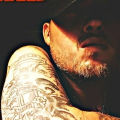 Brixz Widener