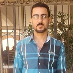 Mohamed K Radwan