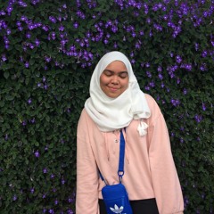 nurilshahzieda