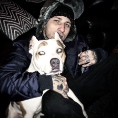 DAUD WOLFF (THA GRIT)