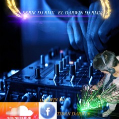 SKRIK DJ RMX EL DARWIN DJ RMX
