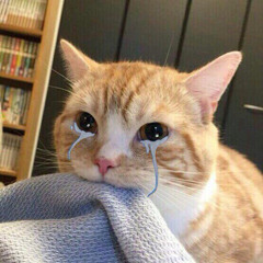 mood