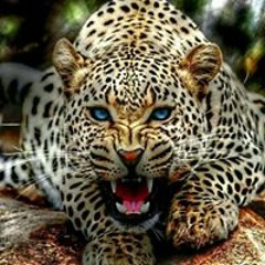 حصريا _ تعود غيابي _ الشاعر يوسف شذان  & خالد محرم _ فيديو كليب (192  kbps) (abdwap2.com).mp3