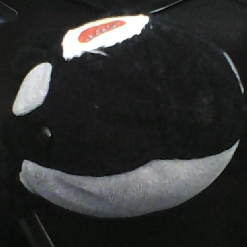 Vancony Whale’s avatar