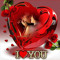 Elaine ann