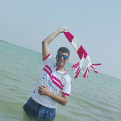 mohamed Adel Elzalabany