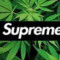 superio 69