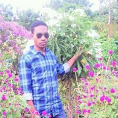 Birsa Barla