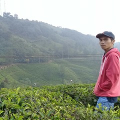 zaenal