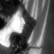 Dwnns