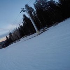 Seua Tiger Singharath