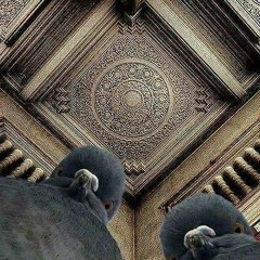 turk