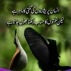 Awais Shah