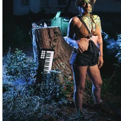 ROBIN IN THE HOOD (OFFICIAL)