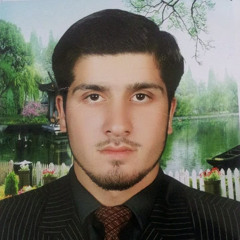 Muhammad Saqib