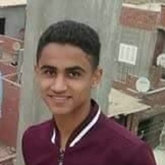 عبد الرحمن ناصر فراج