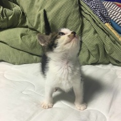권재경