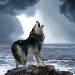 Johnathon Soccerboy Jett