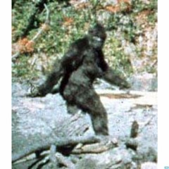 Bigfoot