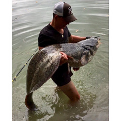 Jimomo Fishing