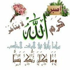 salwa abd elhameed