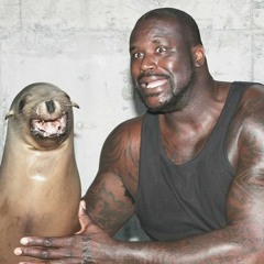 Shaquille O'Seal