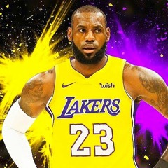 lebron James fan