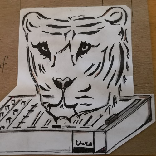 Tiger DJ’s avatar