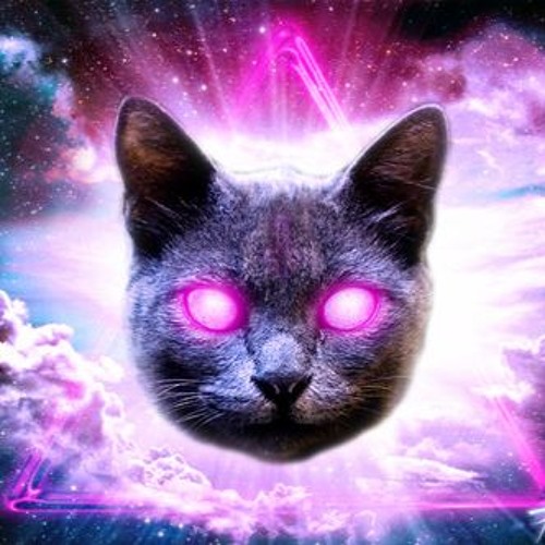 Neon Kitty’s avatar